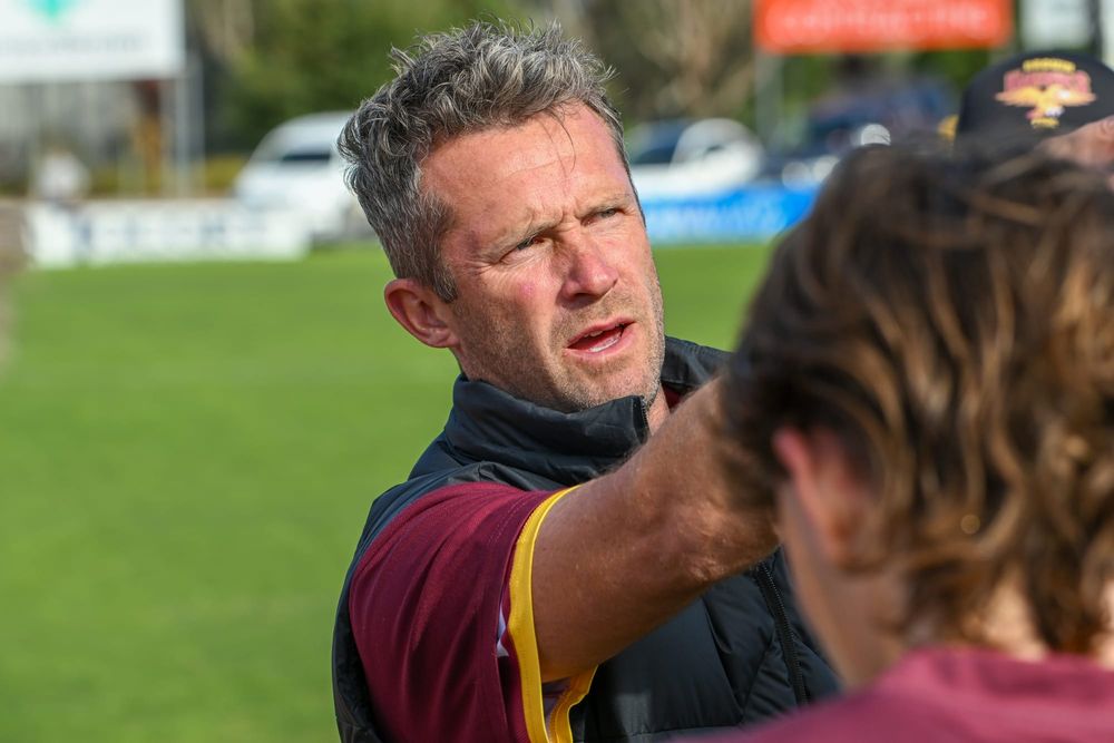 Hawks fight hard post image