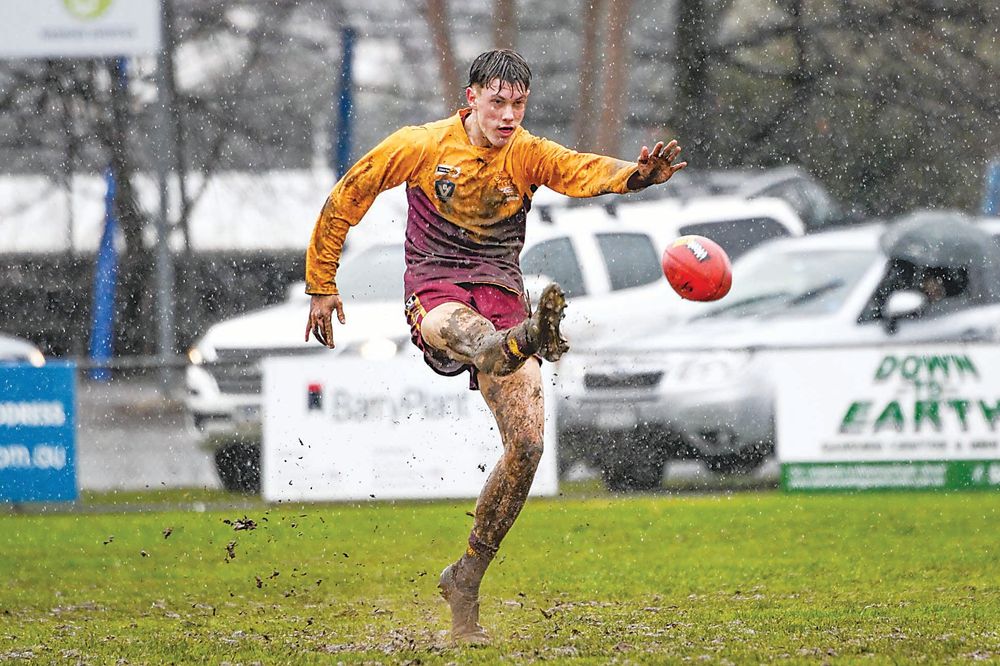 Hawks hitting the road in 2025 post image