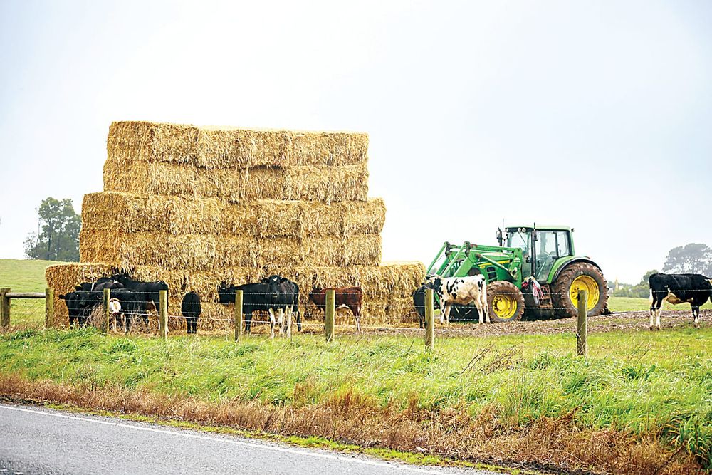 Farming experts sought for drought services post image