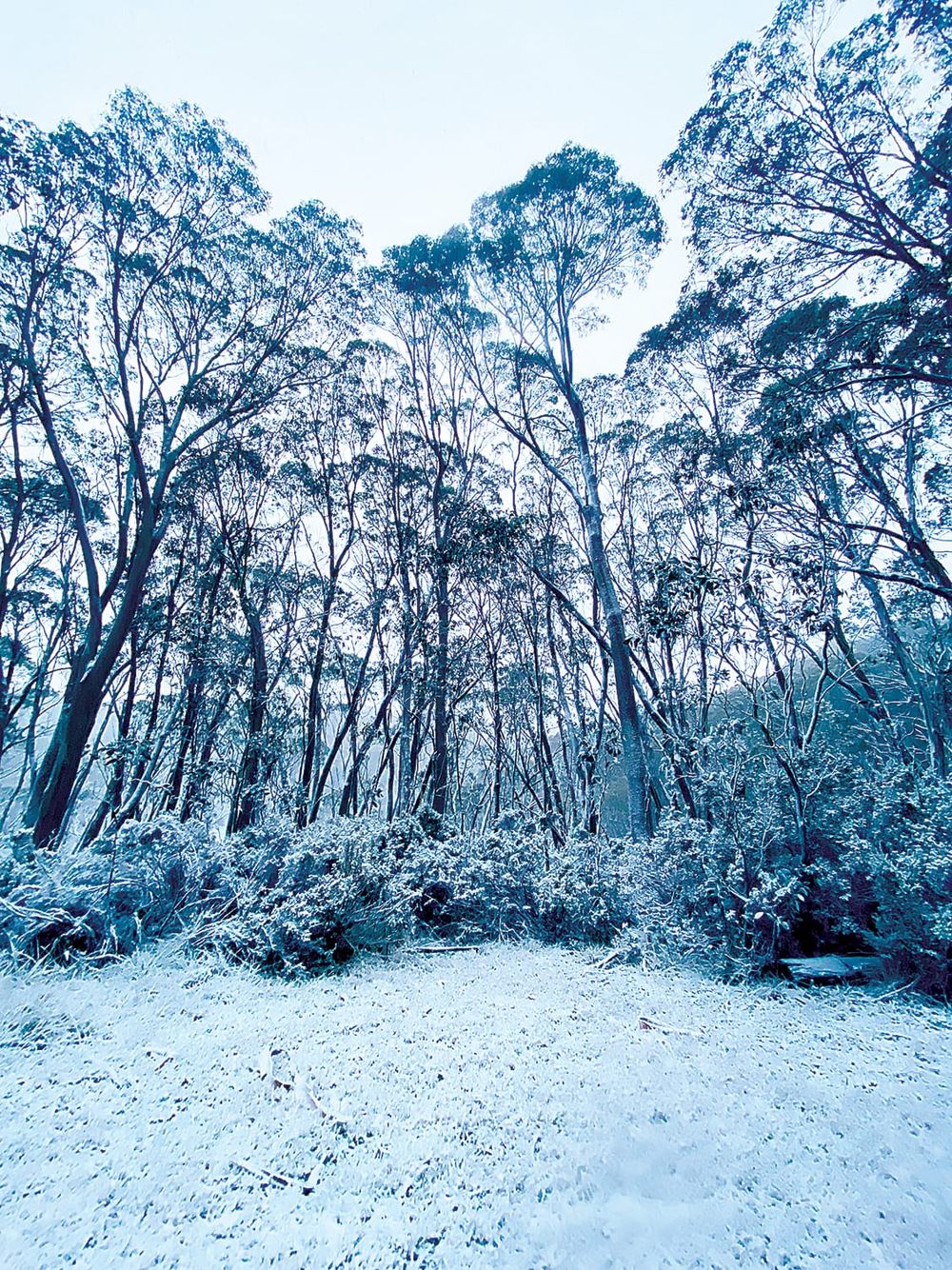Snowfall for season opening post image