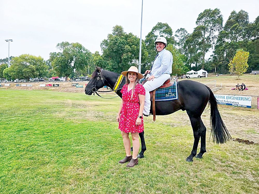 Stock horses on show post image