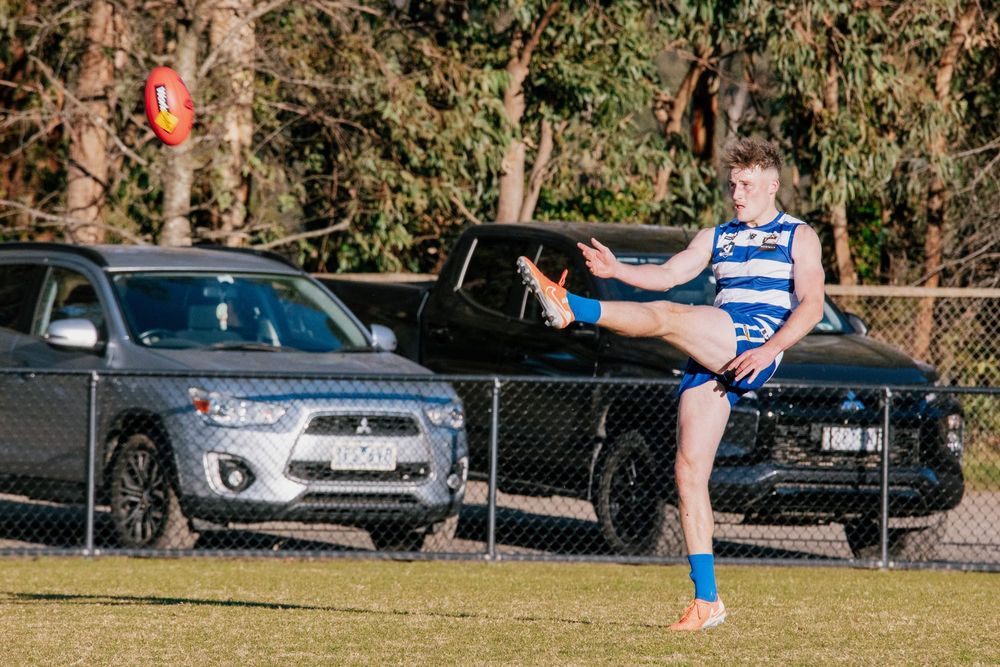 Cats aim to finish season unbeaten post image