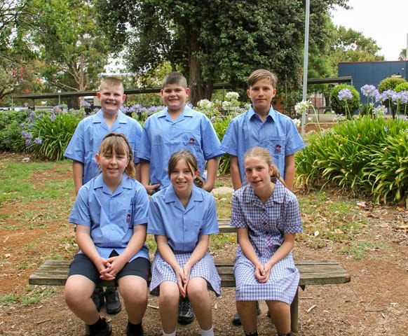 DSC Year 7 Twins - 04.02.2025 post image