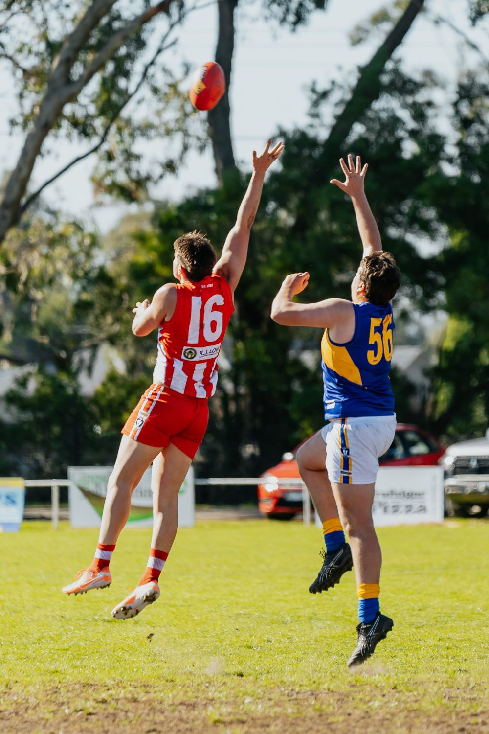 EDFNL Reserves Trafalgar v Ellinbank - May 10, 2025 post image