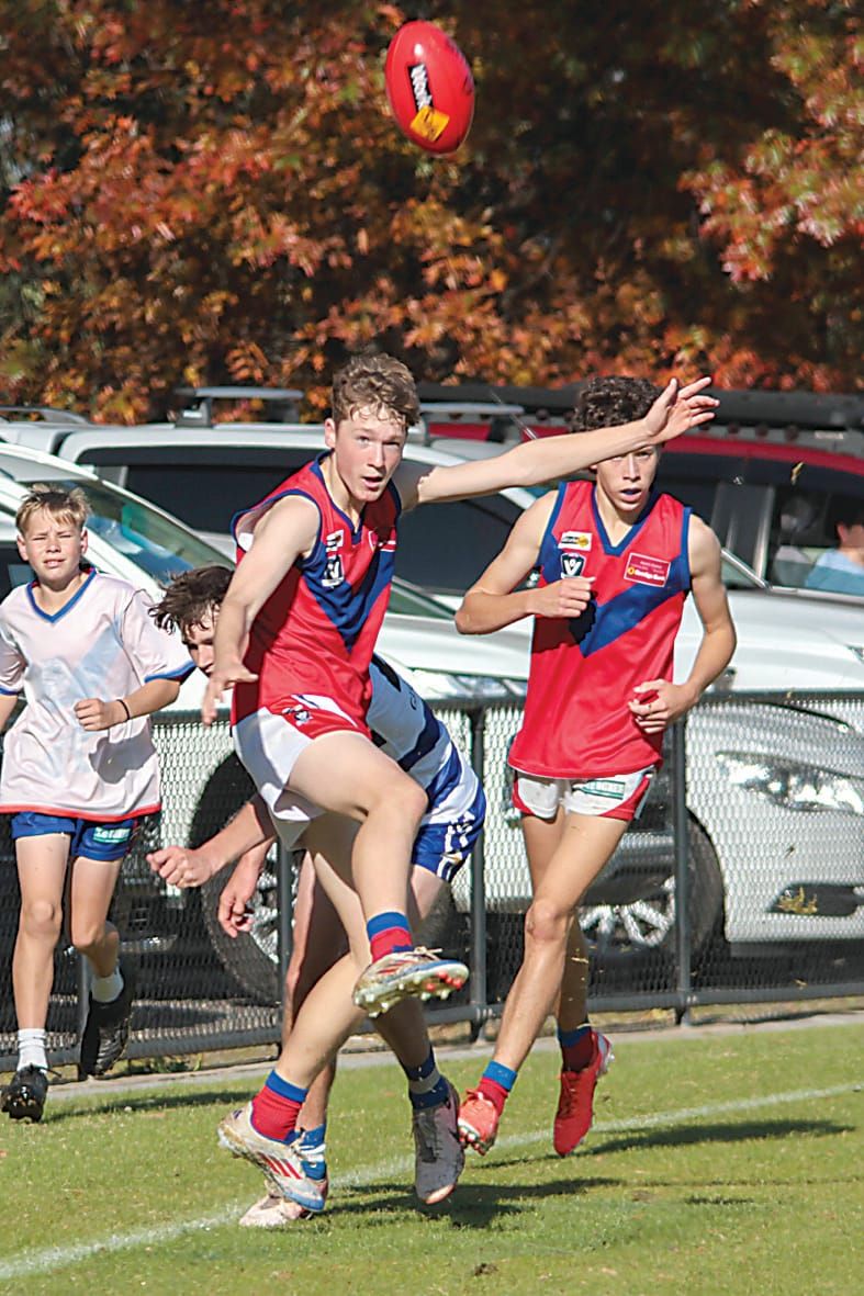 EDFNL U16 Football - Buln Buln v Neerim South - April 15, 2025 post image