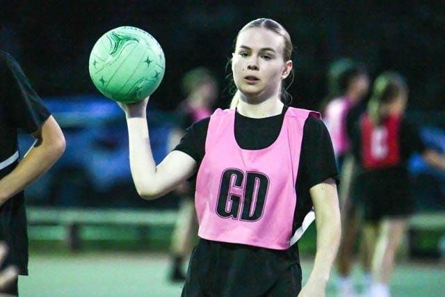 Netball Monday Nights - Pink Panthers Vs. Netslayers - 11.11.2024 post image