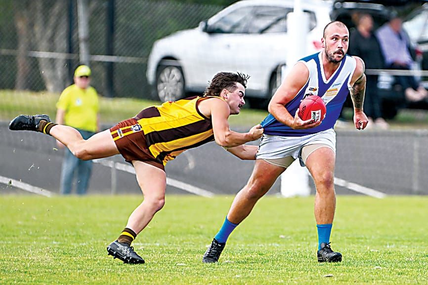 Blues prepare to face Demons in round two post image