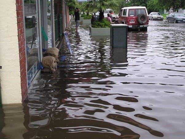 Longwarry flooding hurts export business post image