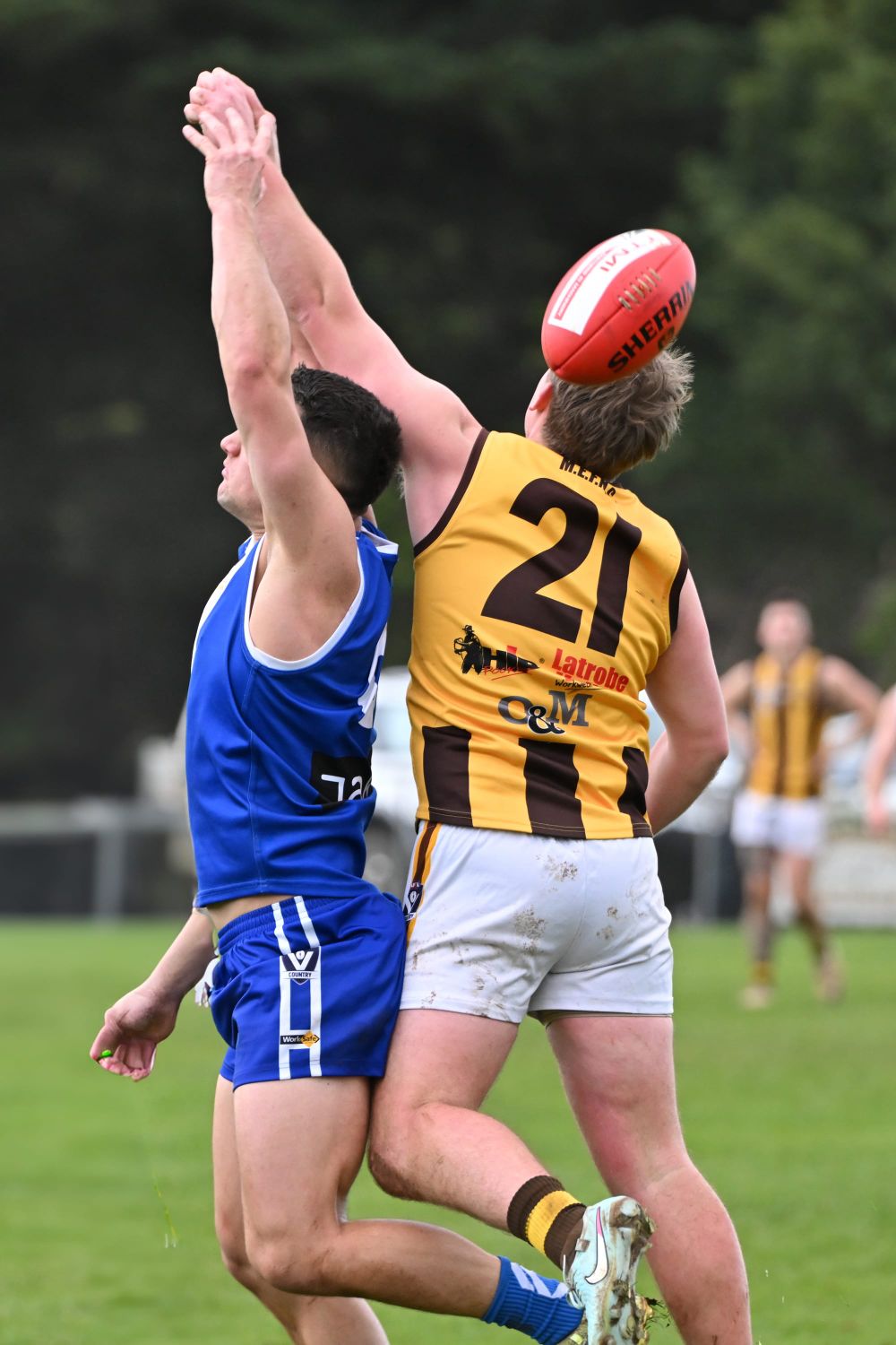 MGFNL Football Seniors Thorpdale vs Morwell East - July 19, 2025 post image