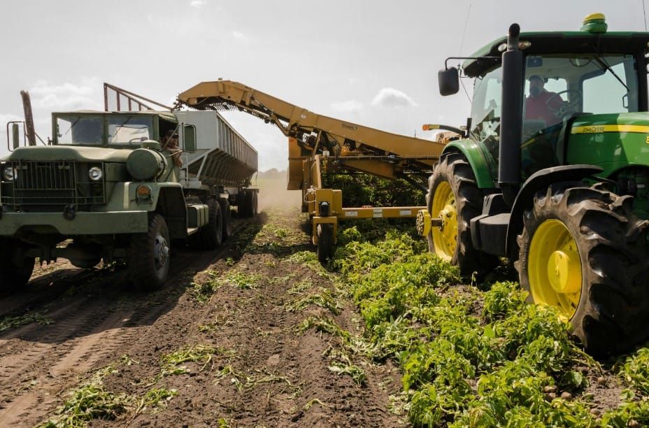 Smart farms and Ethereum: Using blockchain to boost crop yields post image