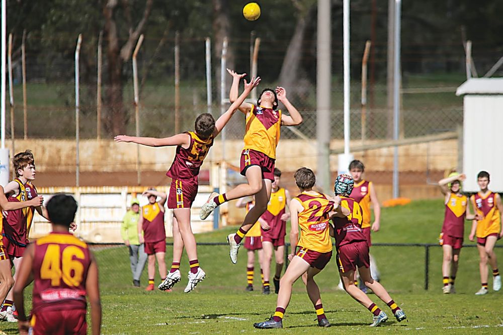 West Gippsland Junior under 14s football - Drouin Maroon v Drouin Gold - August 16, 2025 post image