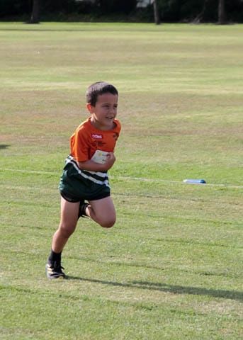 Little Aths - 13.12.2024 post image