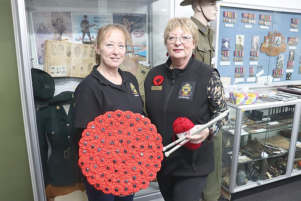 500 poppies vision for field of remembrance post image