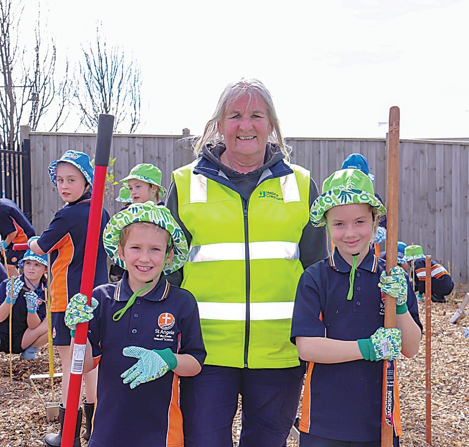 Students get planting for national tree day post image