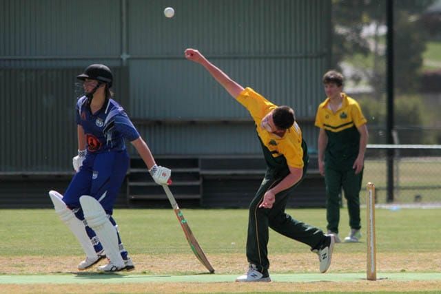 Cricket Seniors Div 4 - Western Park Vs. Garfield - Tynong - 16.11.2024 post image
