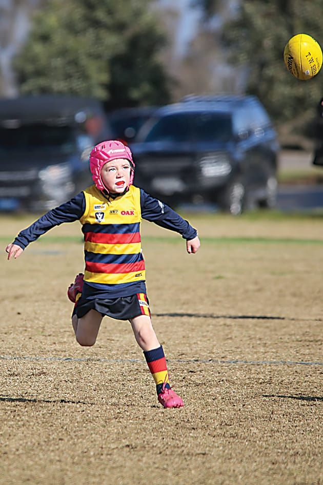 WDJFL under 10s - Longwarry v Yarragon - August 16, 2025 post image