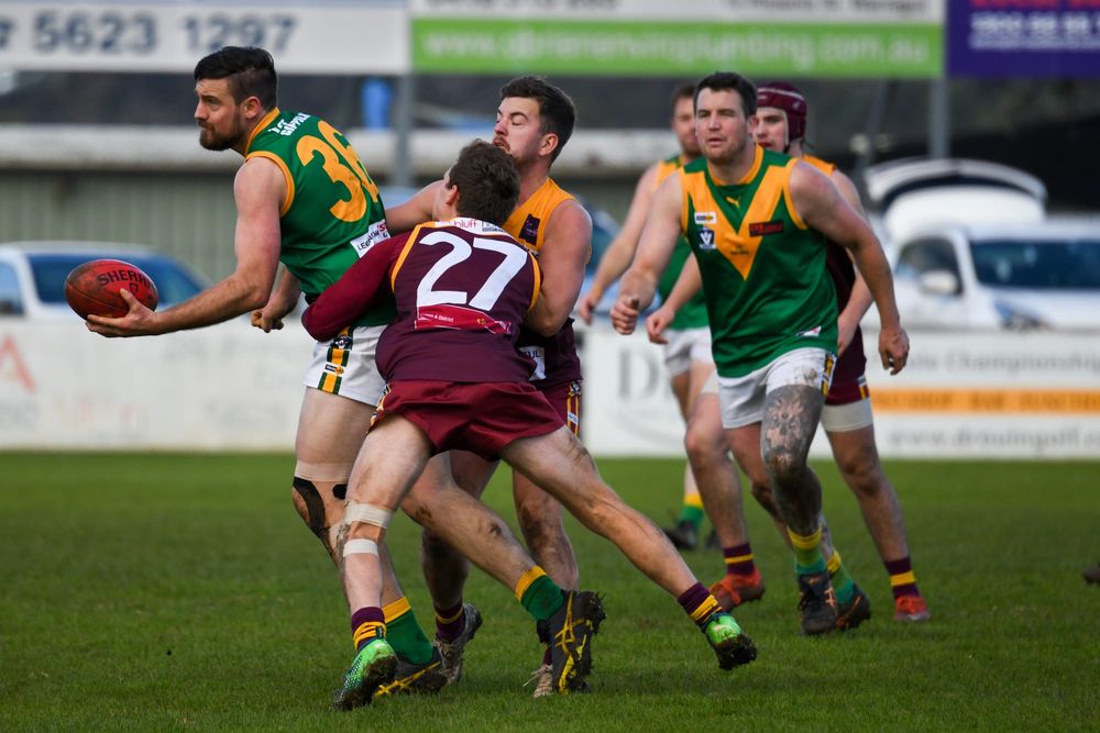 Hawks youth in race for finals after preying on Parrots post image