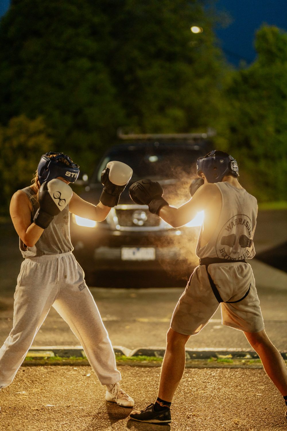 A fighting chance post image