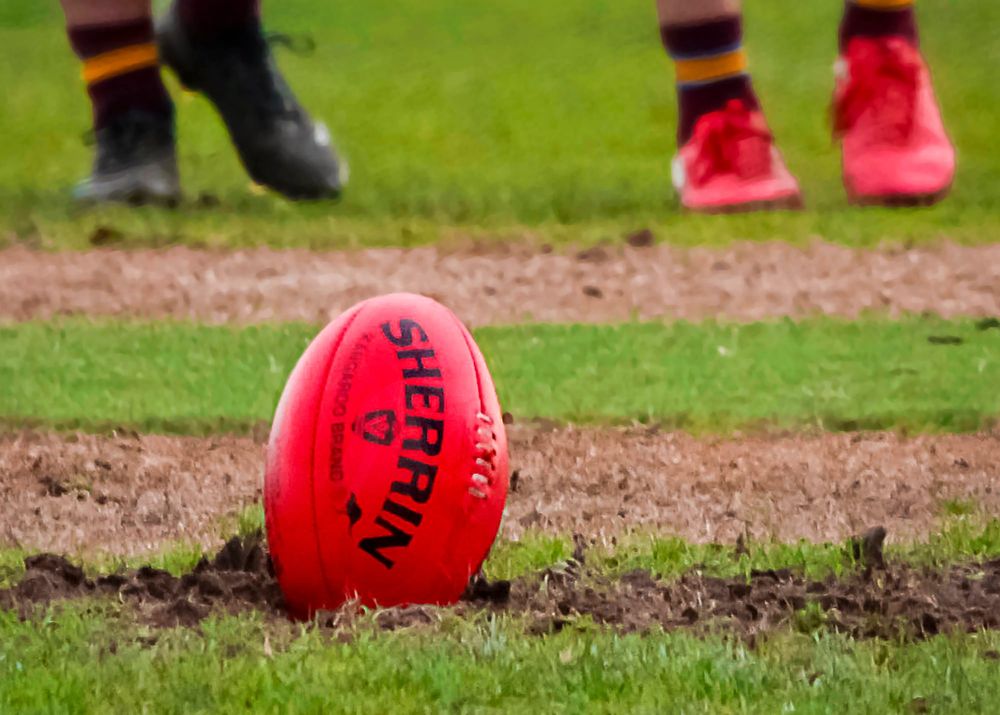 Cats account for Tigers post image