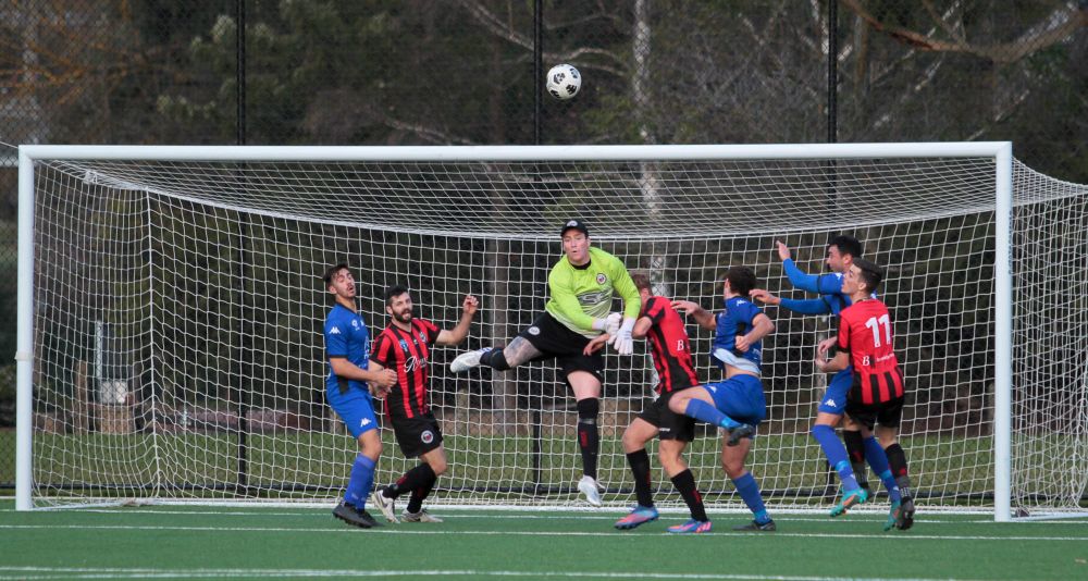 United squish Redbacks in dominant 3-1 win post image