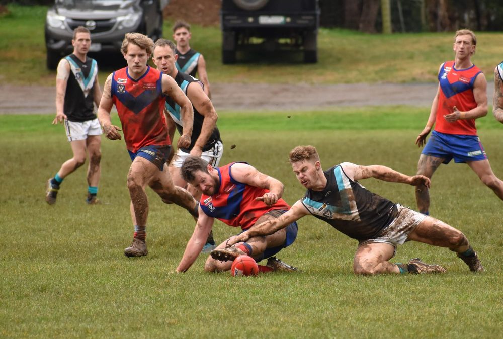 Finals beckon for Crows post image