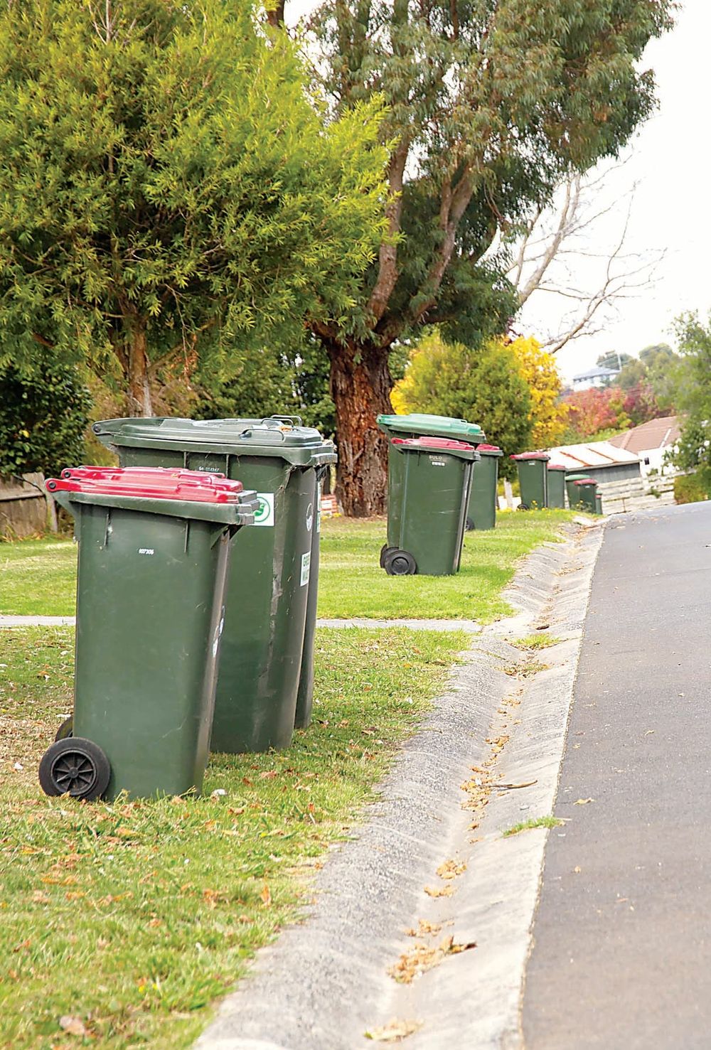 Bin Collections - 19.04.2022 post image