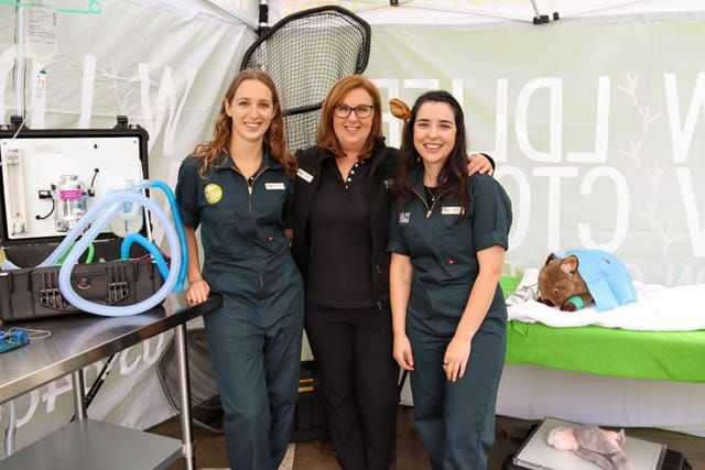 Wildlife Victoria - 11.04.2023 post image