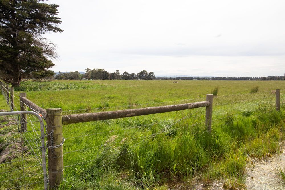 New saleyards at Longwarry supported by council post image