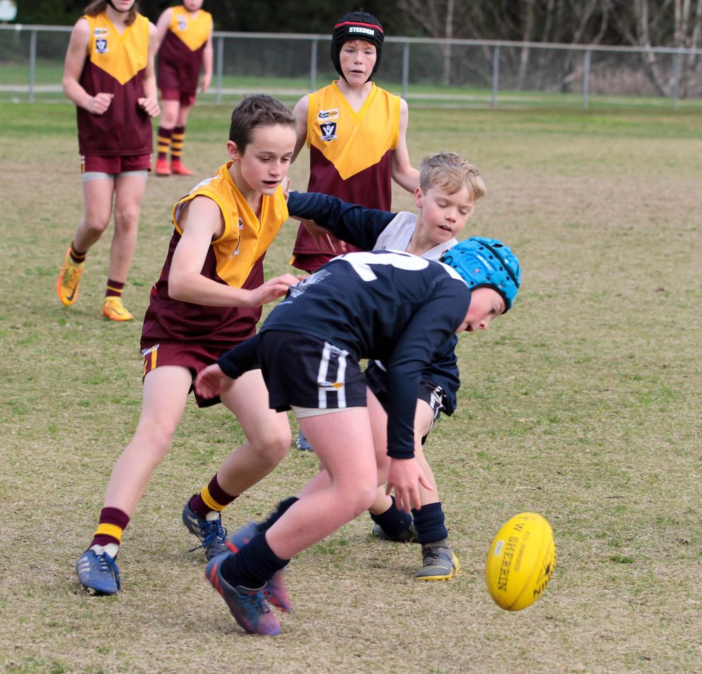 Football (U12's) Drouin Maroons Vs. Blues - 25.06.2022 post image