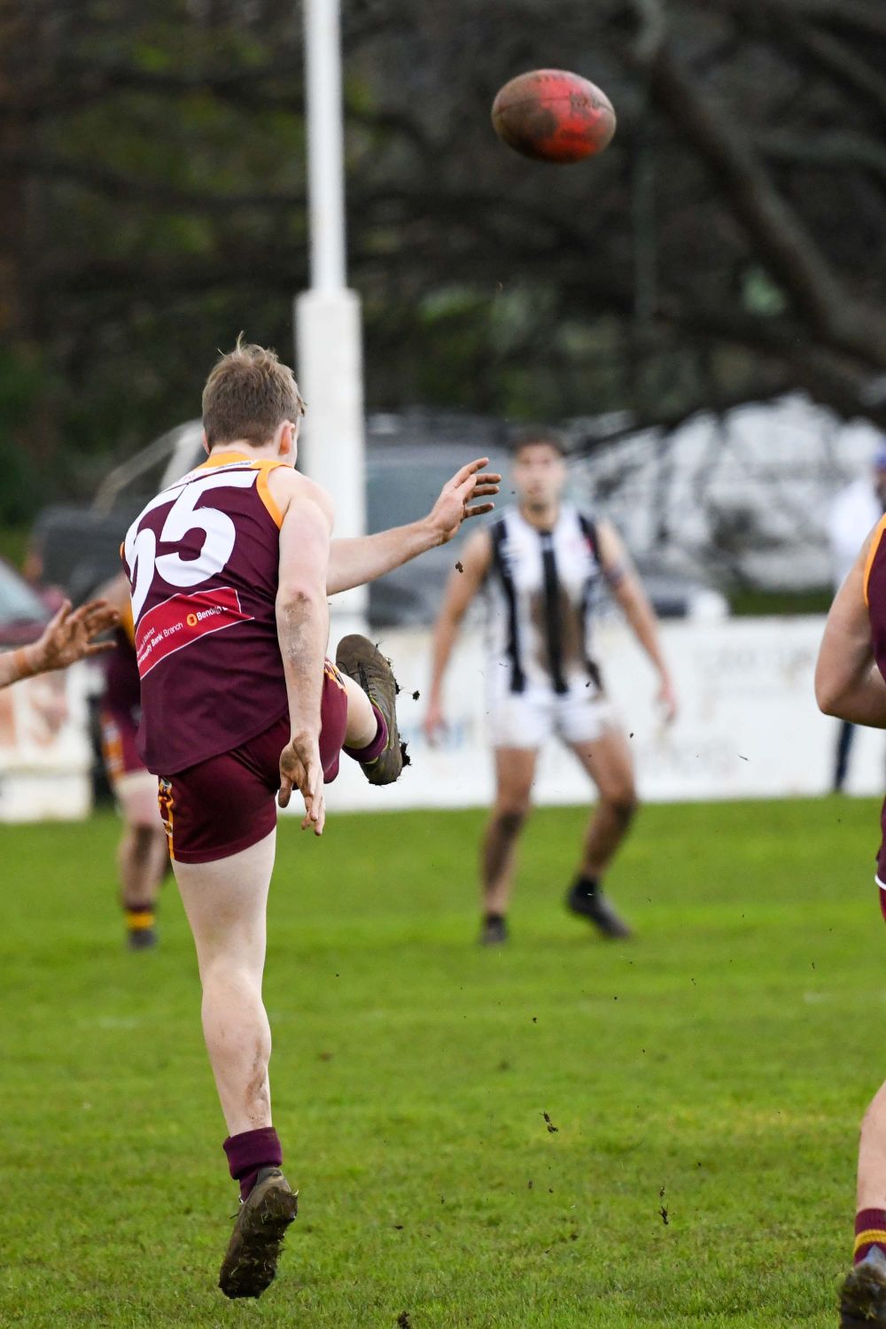 Football GFNL Reserves Drouin Vs. Sale - 16.07.2022 post image