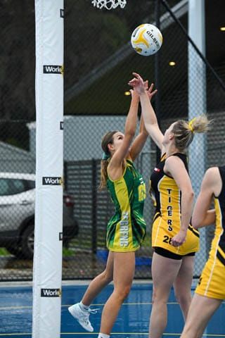 Netball MGFNL B Grade 2nd QTR - Hill End Vs. Foster - 13.07.2024 post image