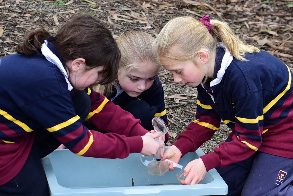 St Paul's explore the outdoors post image