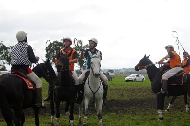 Trafalgar Polox - 2021 post image