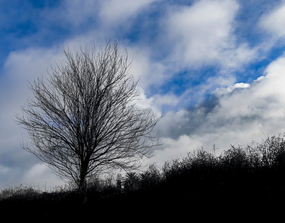 Winter rain below average post image