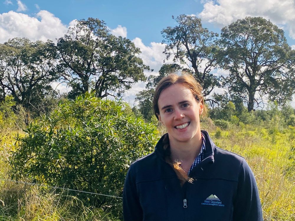 More than 60,000 seedlings planted post image