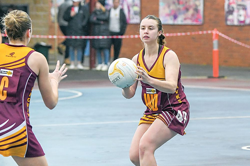 Hawks bounce back post image