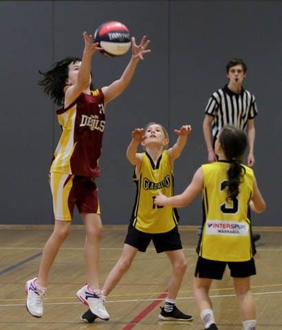 Basketball (U10's) Foxes Vs. Gladiators - 19.08.2022 post image