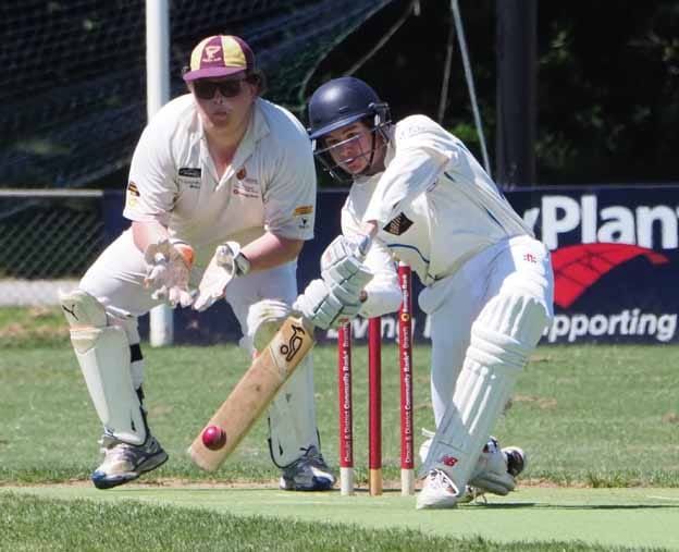 Twin centuries for Parkers post image