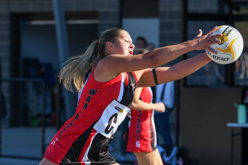 Gulls win A grade battle post image