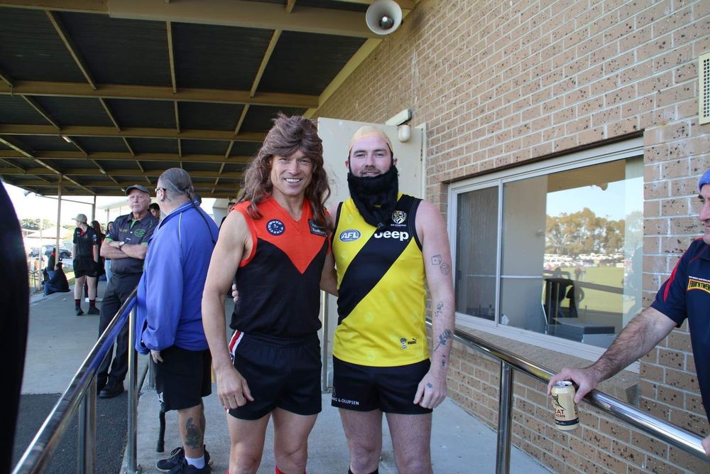 Gulls slide for MND post image