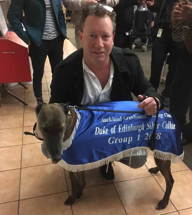 Greyhound wins in Auckland post image