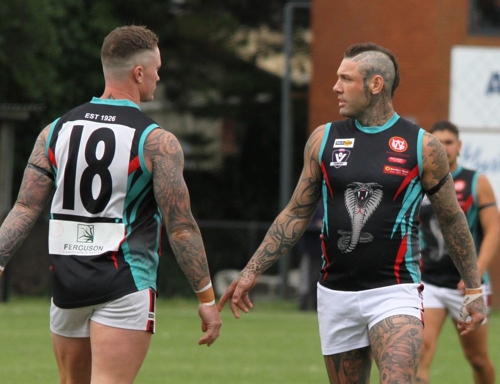 Cobras tamed by Seagulls post image