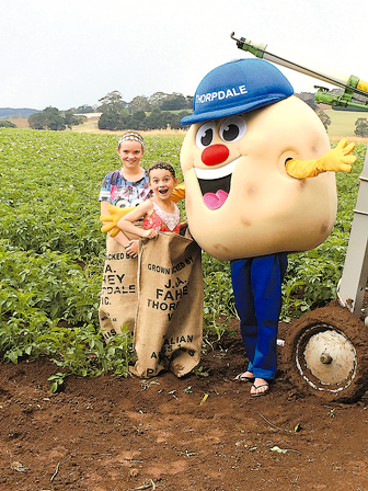 Spud takes centre stage post image