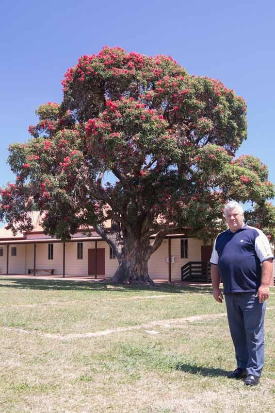 Big tree crowned a champion post image