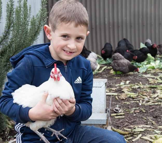 Rocco’s poultry prize post image