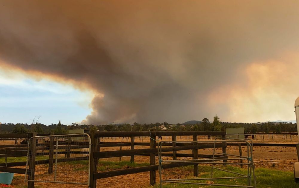 Exhibition to show resilience of Bunyip Complex Bushfires post image