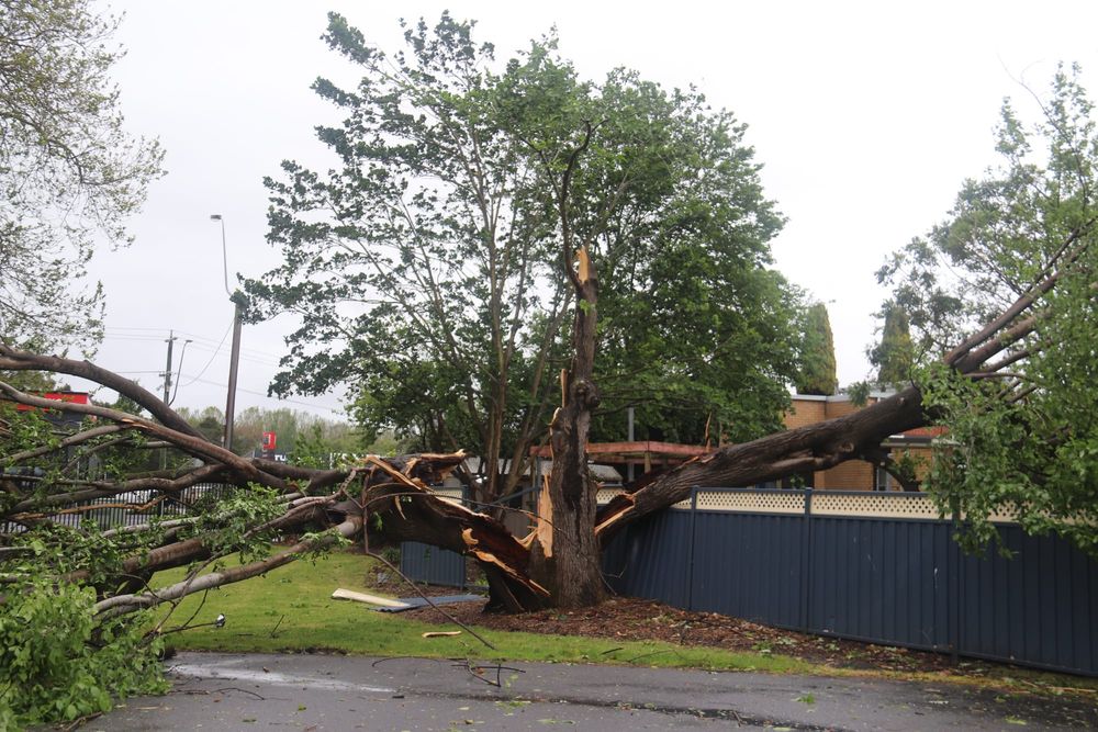 Wild winds leave a trail of destruction across West Gippsland post image