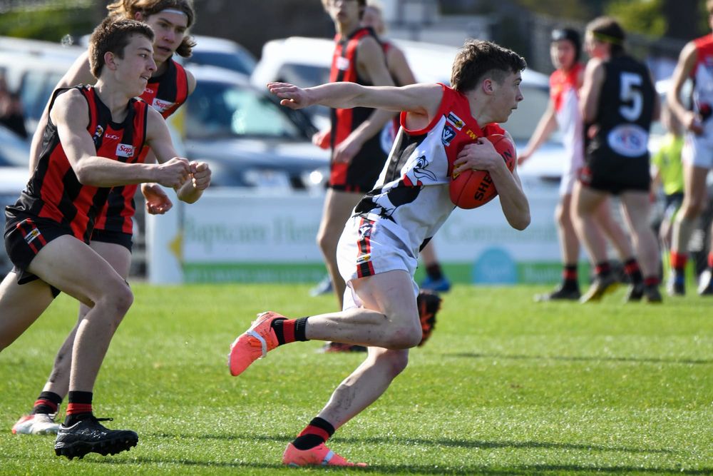 Young Gulls fall just short of miracle comeback post image