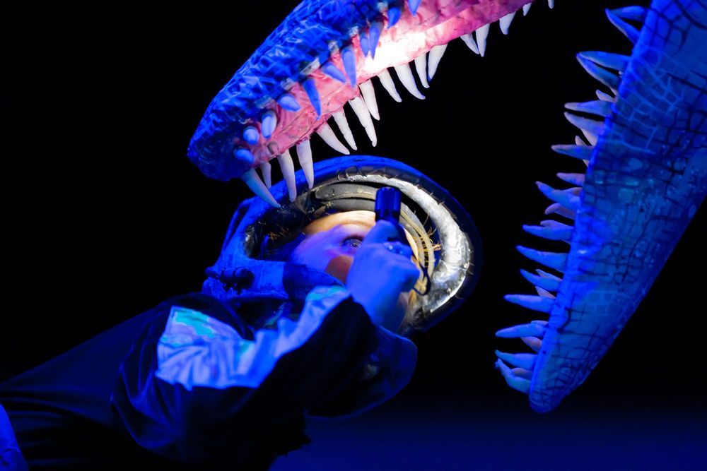 Dinosaurs come to life in Warragul post image