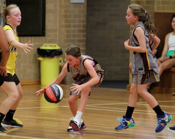 Basketball (U12's) - Drouin Wolves Vs. Gladiators Mercury - 10.02.2023 post image